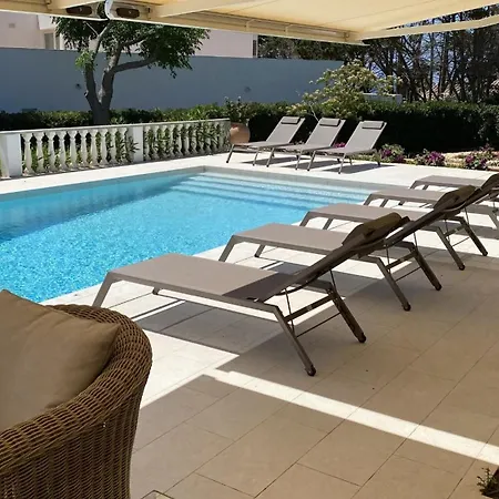 Hermitage فيلة Binissafuller