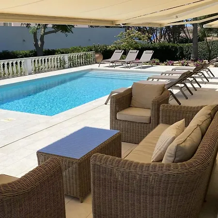 Hermitage فيلة *