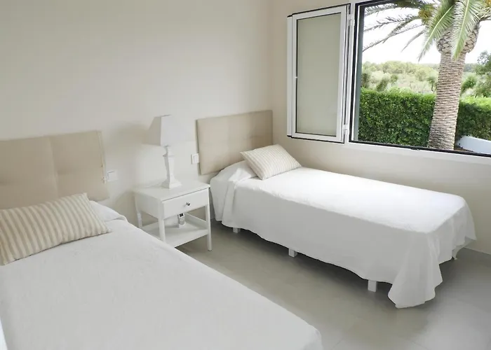 Hermitage Binissafuller